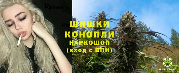 ешки Карпинск
