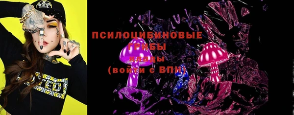 соль курить ск Сосновка
