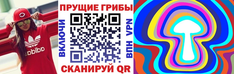 Псилоцибиновые грибы Cubensis  Купить  Емва 
