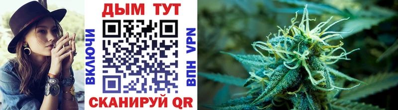 Купить закладки  Емва  Бошки Шишки план 